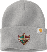 Delaware Ducks Carhartt Watch Cap 2.0