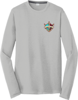 Delaware Ducks Long Sleeve PosiCharge Competitor Cotton Touch Tee